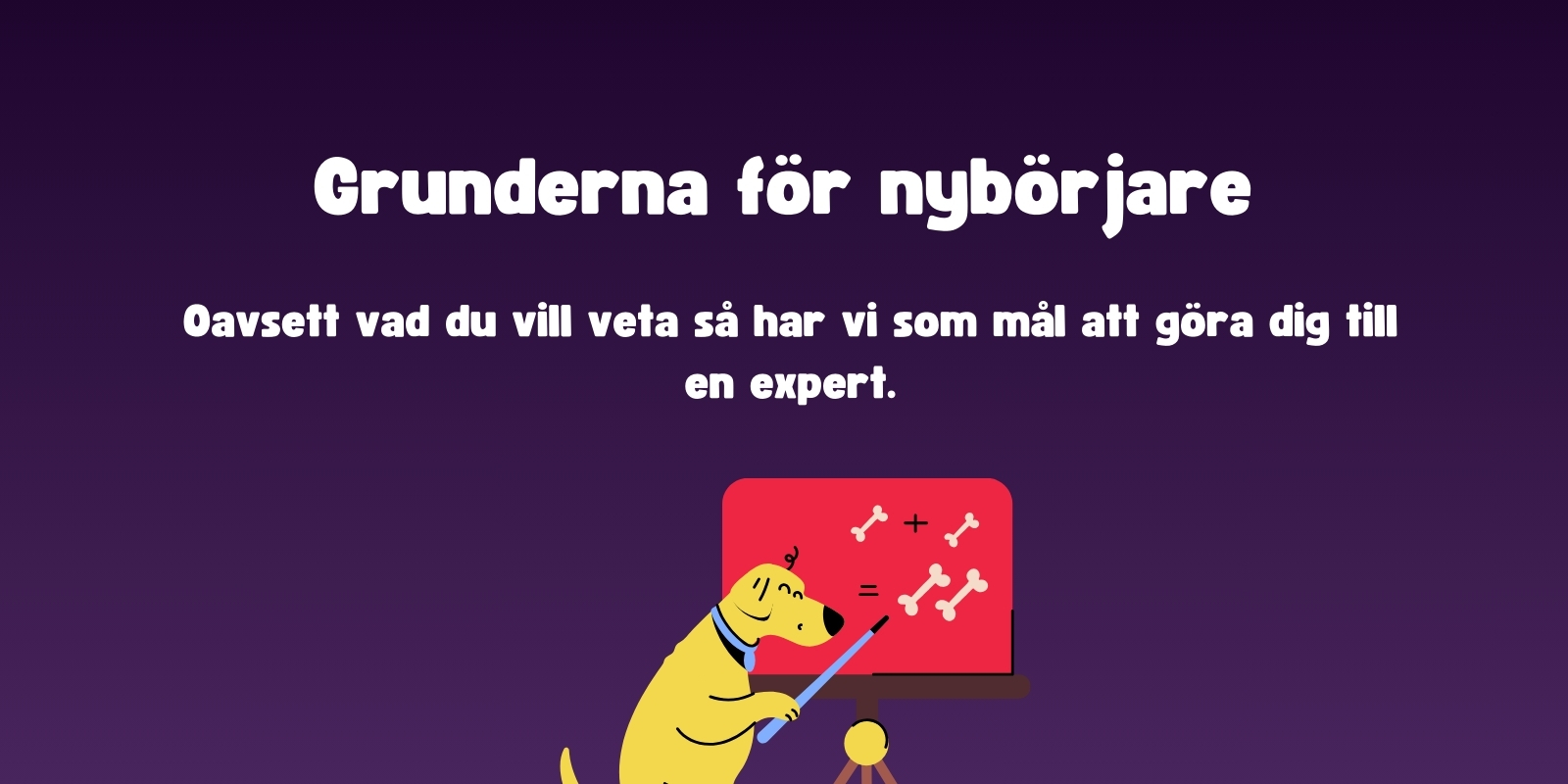 Slots för nybörjare